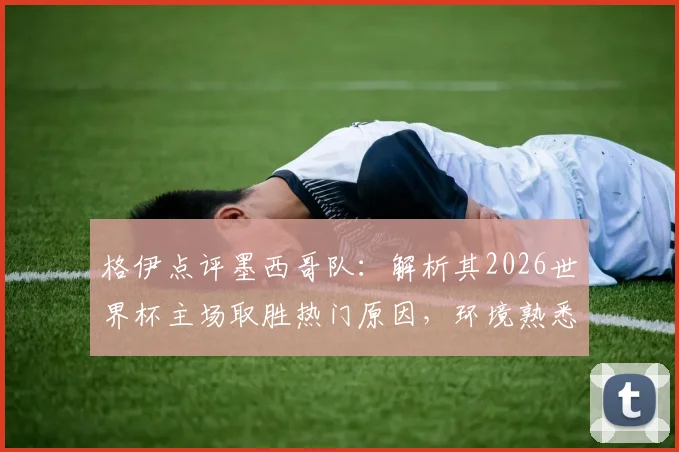 格伊点评墨西哥队:解析其2026世界杯主场取胜热门原因,环境熟悉度与主场优势成关键